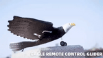 RC Eagle For Kids