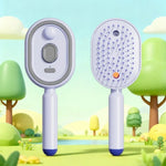 Electric Airbag Massage Comb With Mist Spray - Anti-Tangle Hair Styling Tool For Women