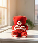 Red Love Teddy Bear with Heart Cushion